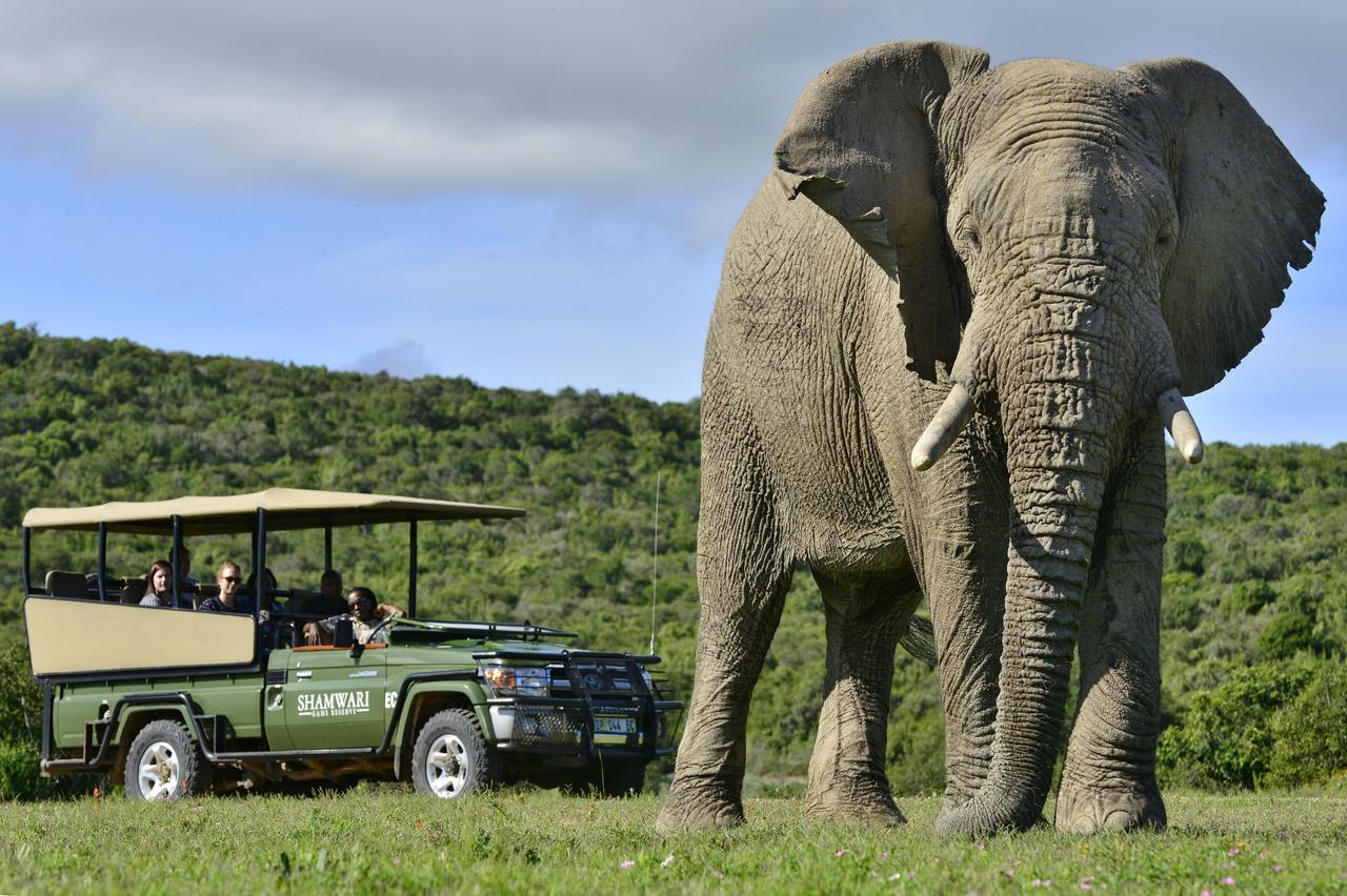 Shamwari Bayethe Paterson Exterior foto