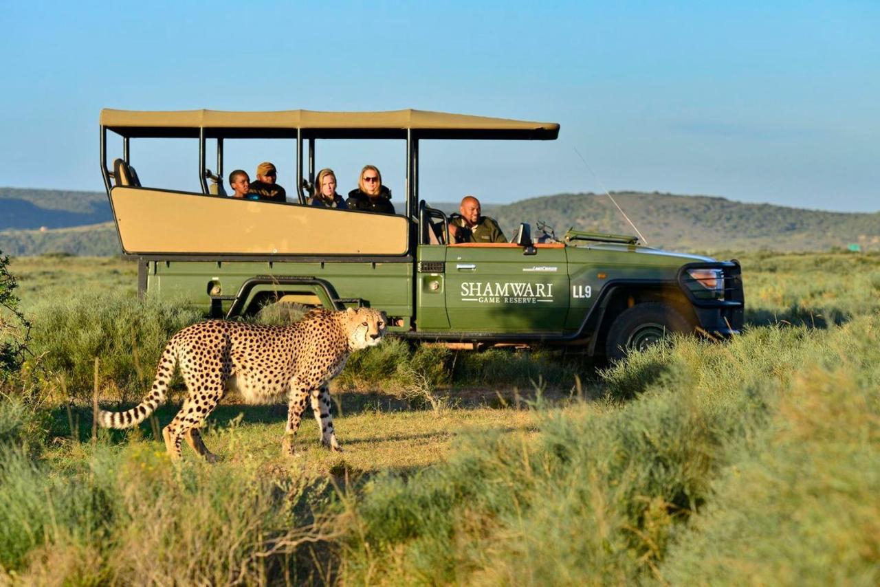 Shamwari Bayethe Paterson Exterior foto