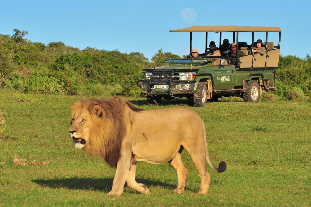 Shamwari Bayethe Paterson Exterior foto
